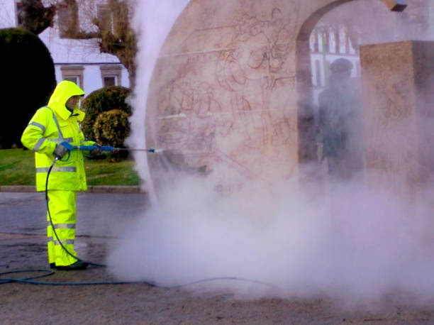 Best Pressure Washing Near Me  in Altamont, IL